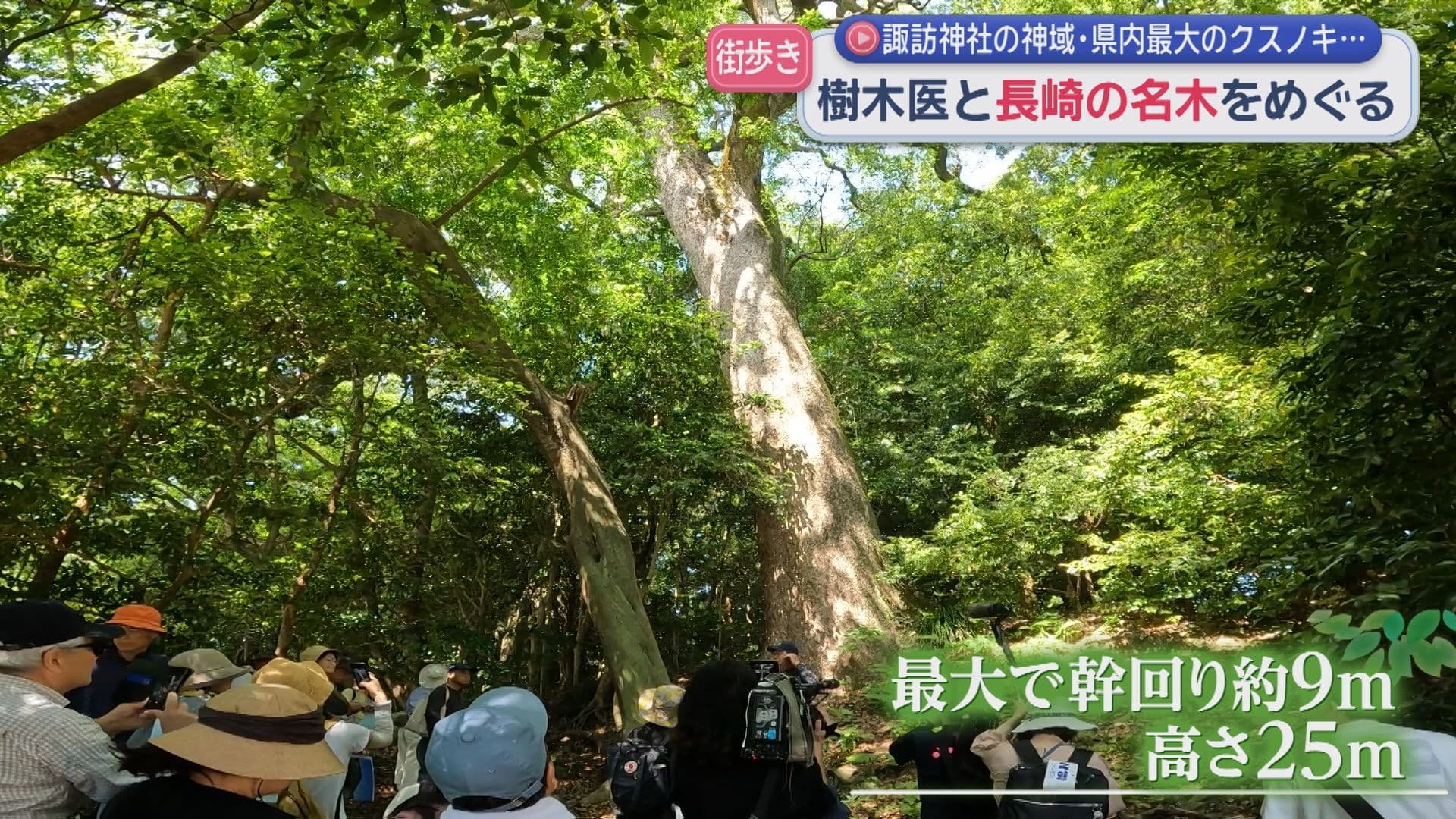 4樹木医さるくサムネ
