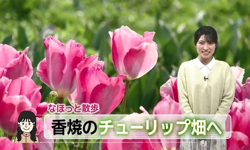 香焼チューリップまつり２０日から