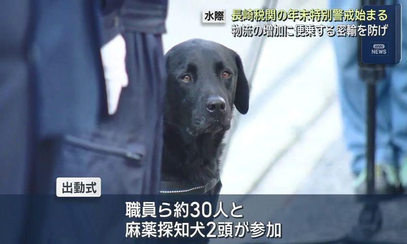 麻薬探知犬も参加　長崎税関が特別警戒へ　　