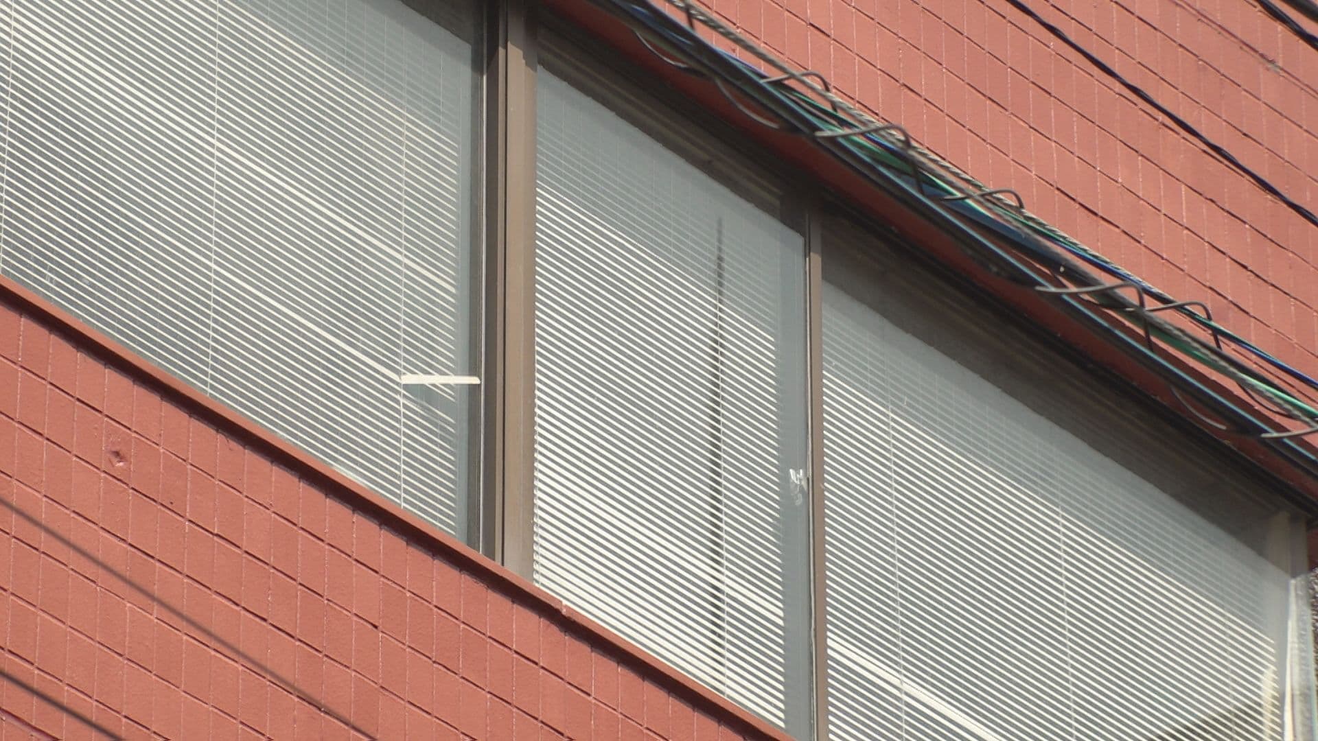 弁護士を業務停止１か月の懲戒処分 別の弁護士の業務を妨害