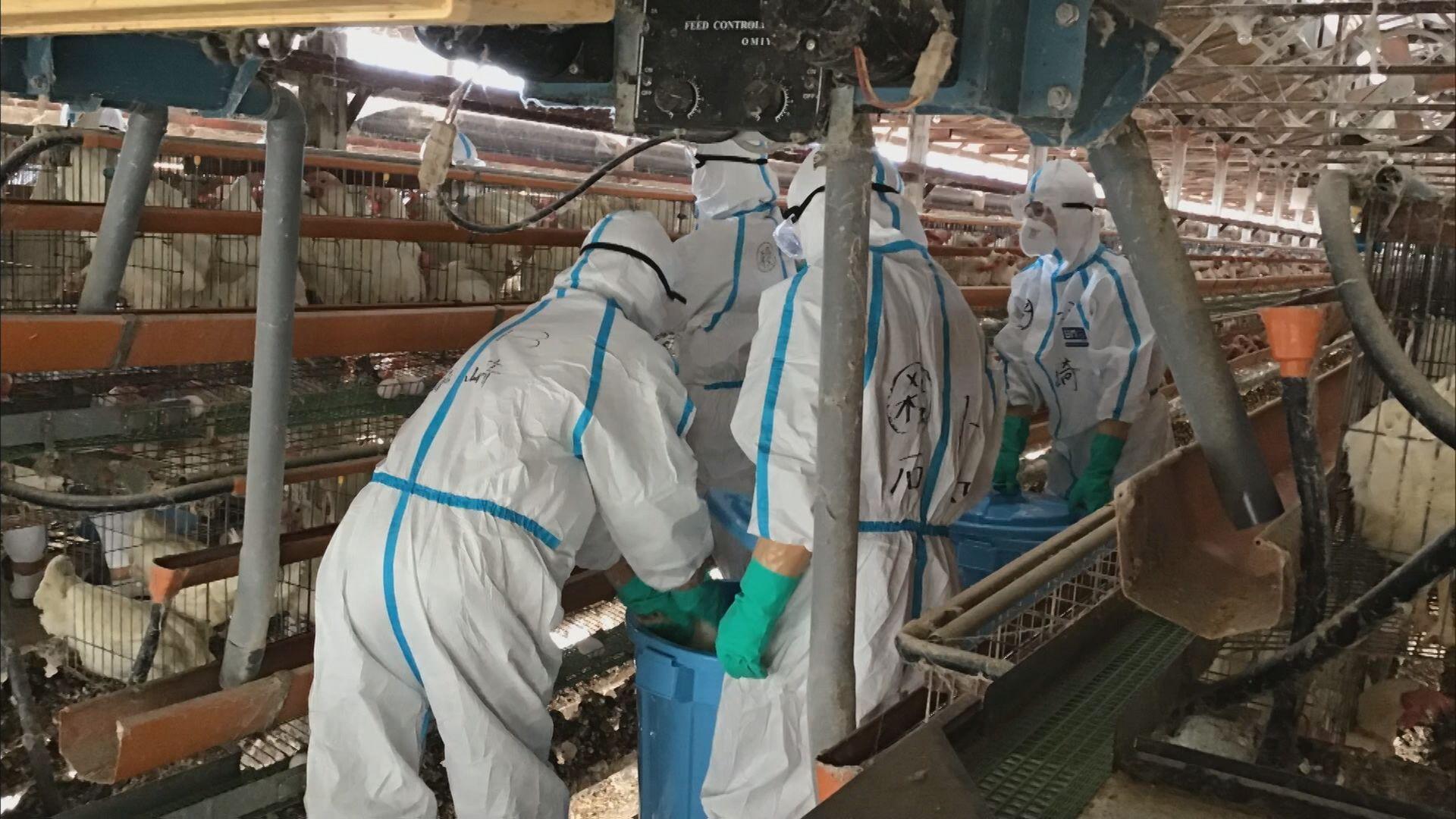 【長崎】佐賀の鳥インフルエンザ発生受け　県が防疫対策会議
