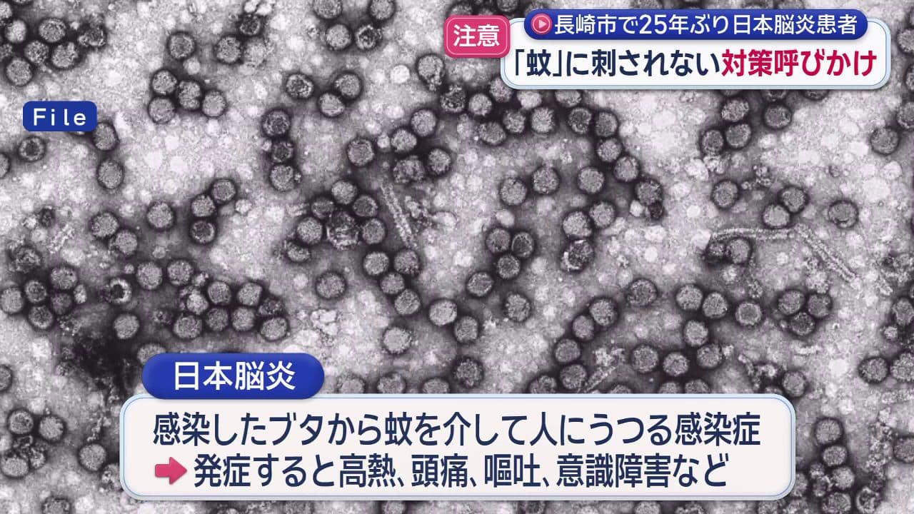 「蚊」に刺されない対策呼びかけ　長崎市で２５年ぶりに日本脳炎患者が発生
