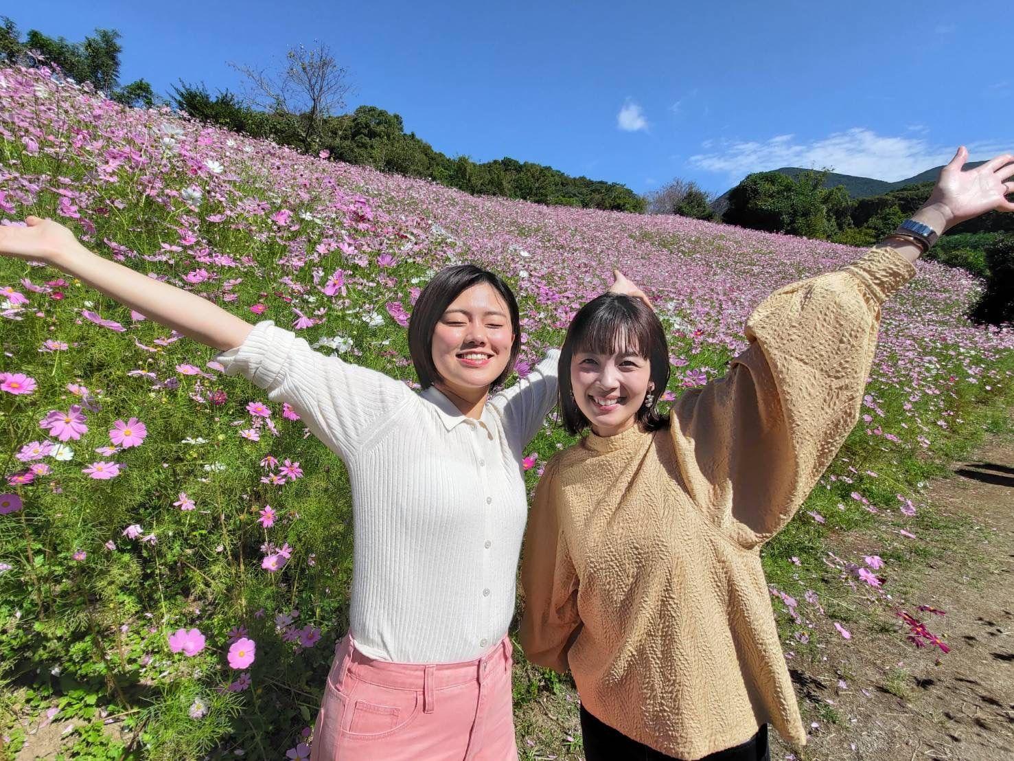 〇〇の秋🍁満開のコスモス＆秋の新作栗のパフェ🌰