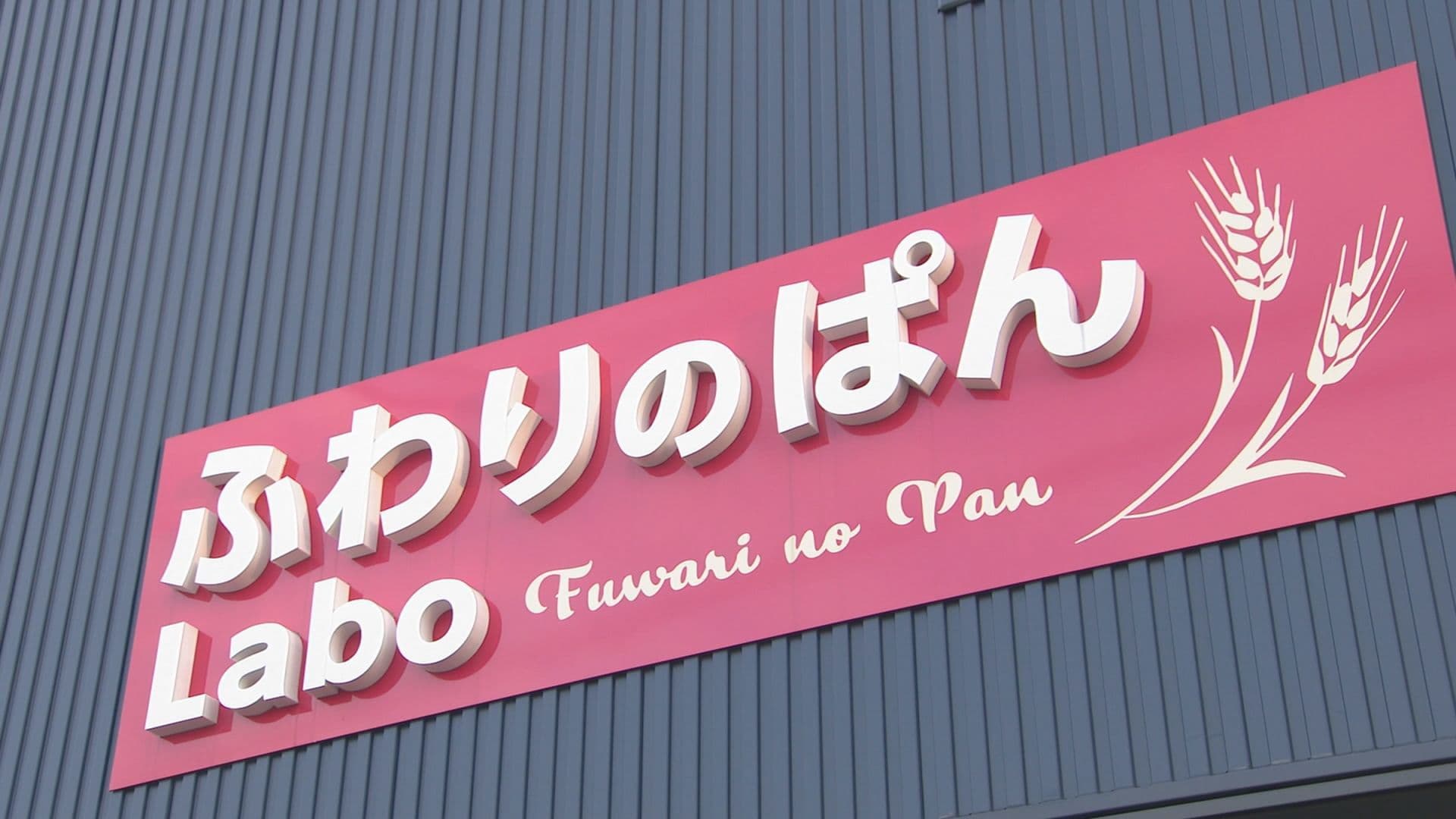 カリッ＆フワッの新食感！アイデアあふれる地元で愛されるパン屋さん　佐世保市「ふわりのぱん」