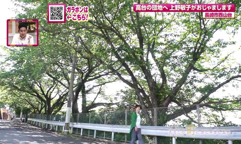 元気な90代が暮らす標高200メートルの団地におじゃま　住宅街の町中華の限定メニュー