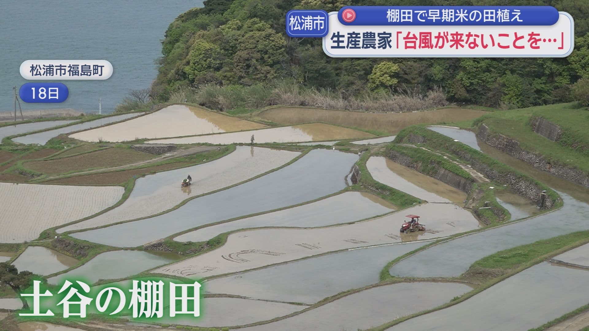 0429松浦田植え1