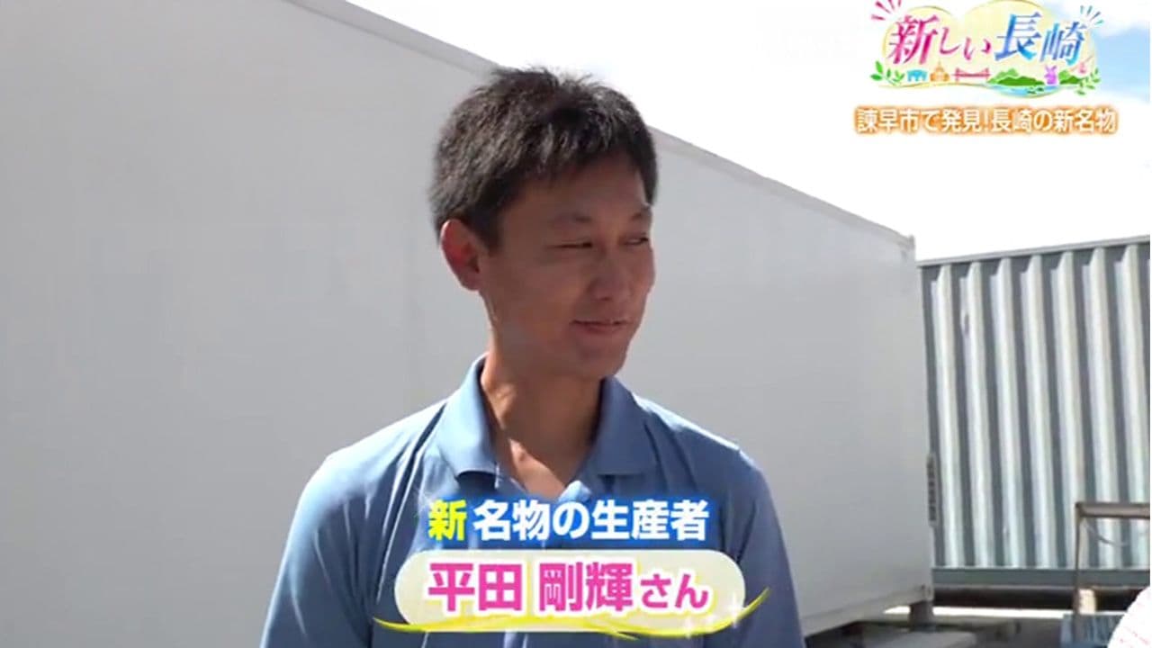 沖縄名物が諫早で新名物に！？ コンテナで長崎初の ”海ぶどう” を養殖 