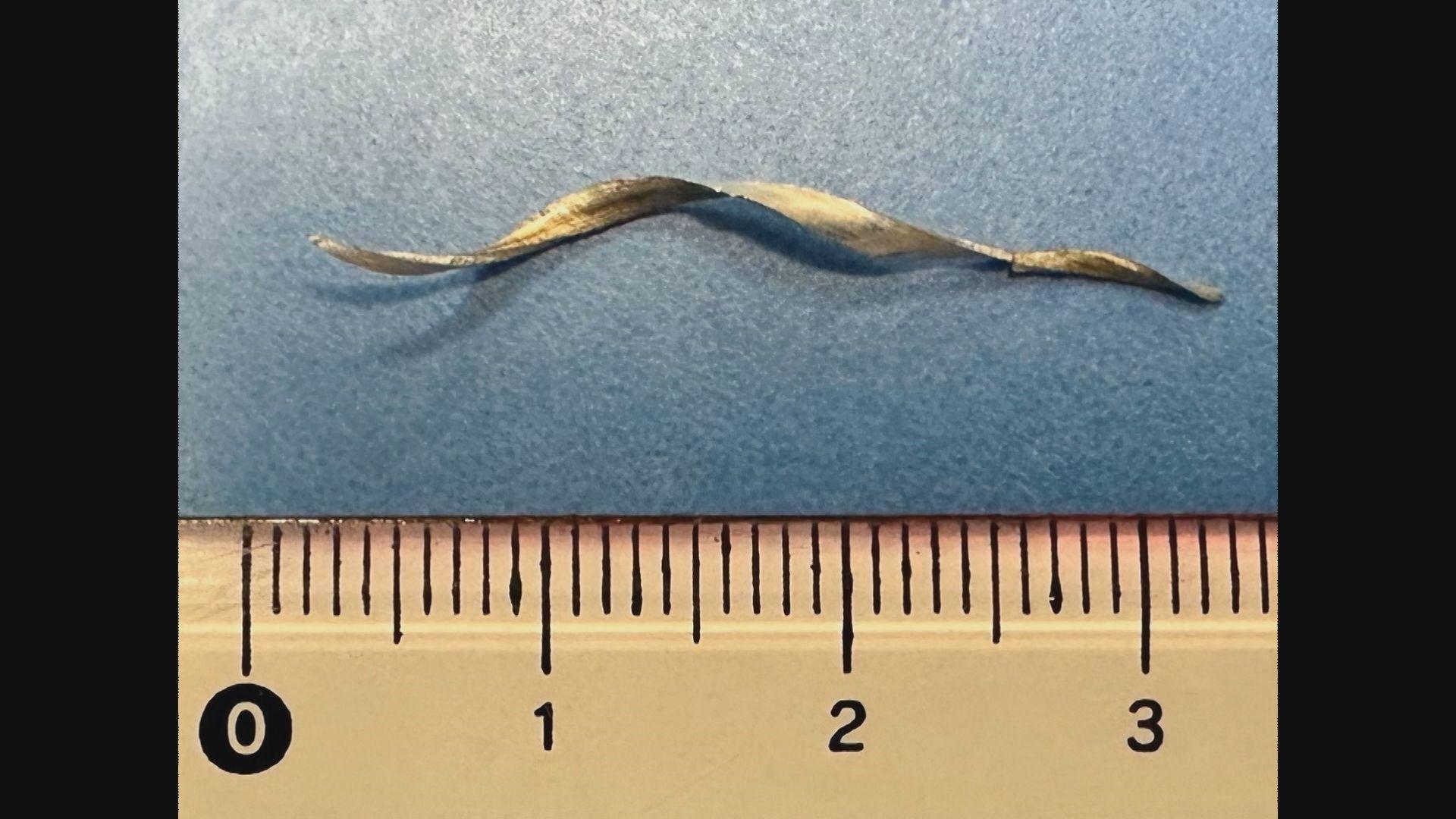 長崎市立小学校の給食に約３ｃｍの金属片が混入　６年生が発見