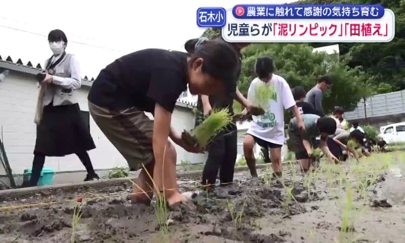 東彼・川棚町で「泥リンピック」児童らが農業に触れて感謝の気持ち育む