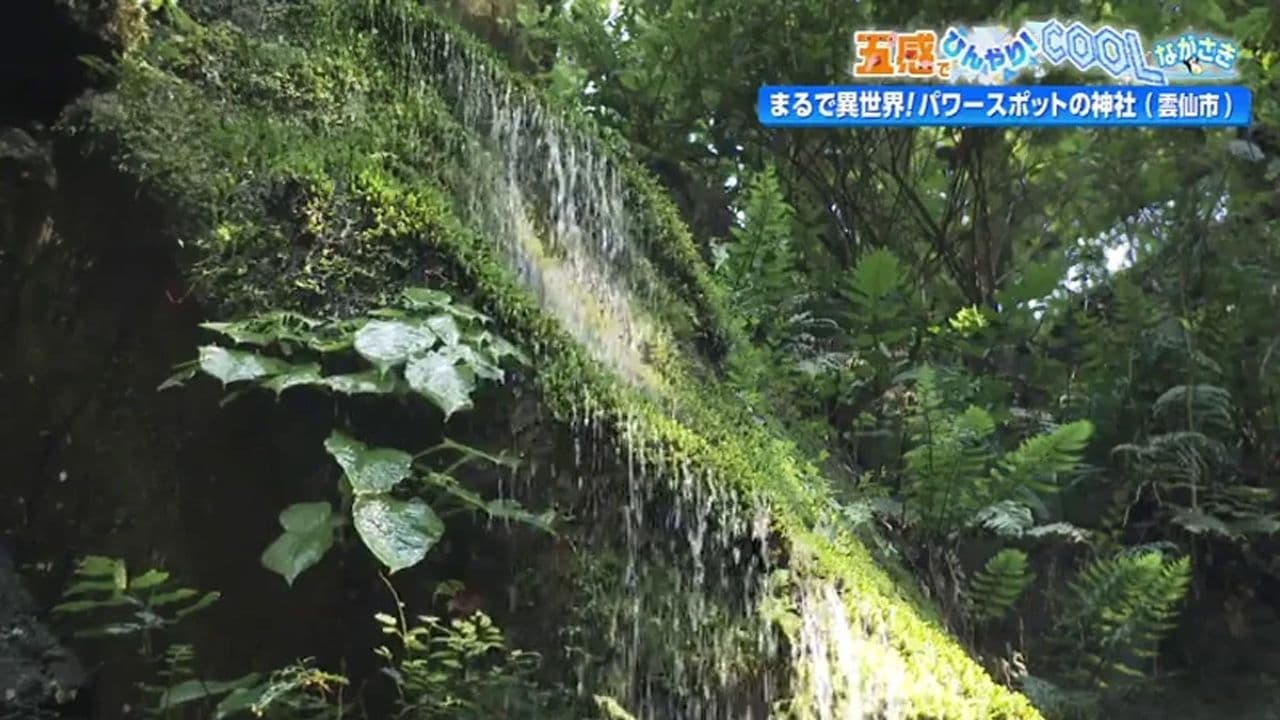 雲仙で“ひんやり体験”  まるで異世界！パワースポットの神社　雲仙市「岩戸神社」