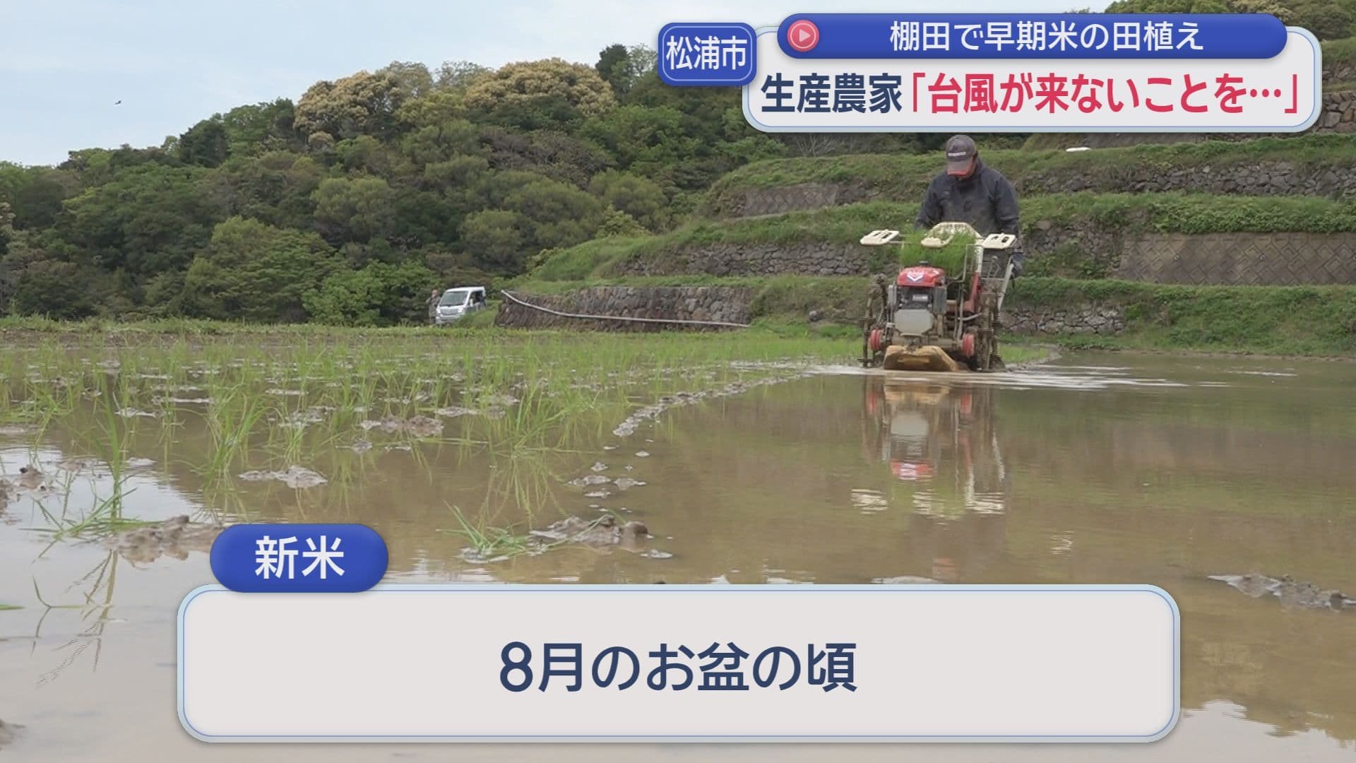 0429松浦田植え4