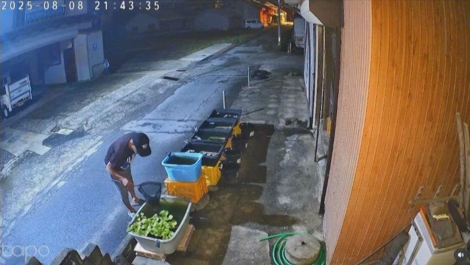 【長崎】メダカ約２００匹窃盗　容疑の露天商を逮捕