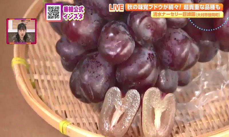 秋の味覚ぶどう狩り🍇＆超希少な"黒いシャインマスカット"とは✨