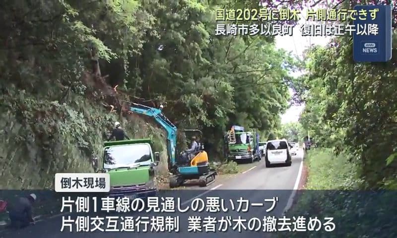 長崎市多以良町の国道202号に倒木 片側通行できず 復旧は正午以降