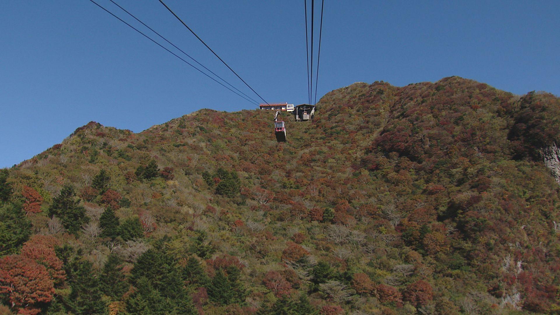 紅葉の名所　雲仙・仁田峠　「今年は１０日ほど遅い色づき ６日時点で６割ほど」見頃はいつ