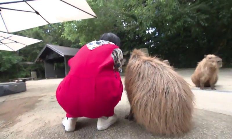 夏休みにぴったりのイベント満載！長崎バイオパークから～おでかけ中継～