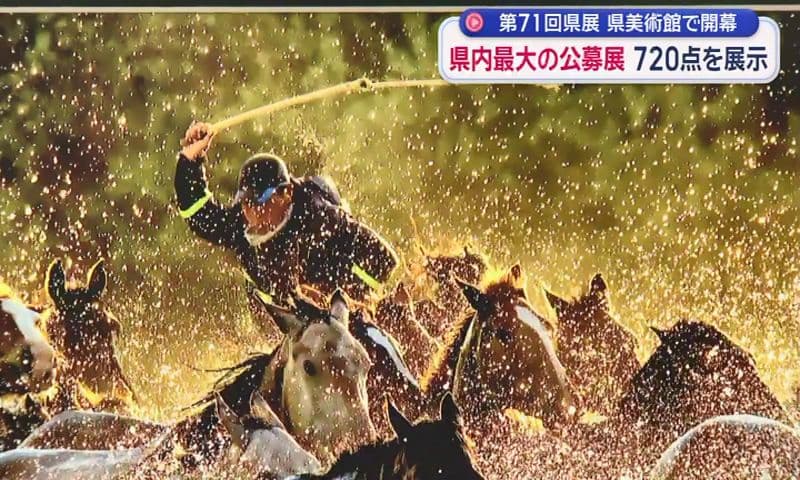 第71回県展が県美術館で開幕   県内最大の公募展 720点を展示