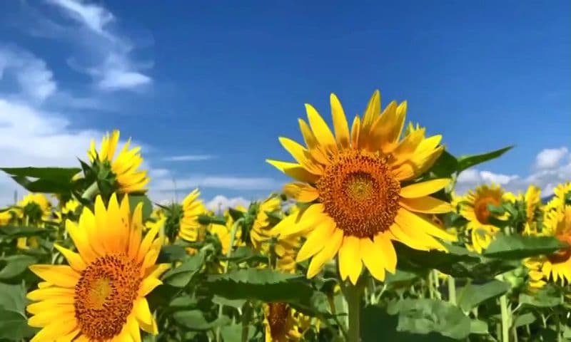 250712_093050_12