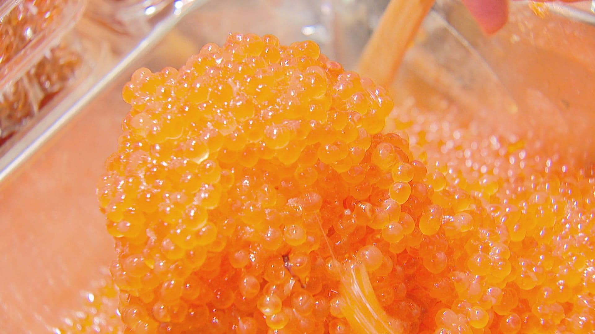 北のグルメ満載！夏の北海道物産展 第２弾始まる