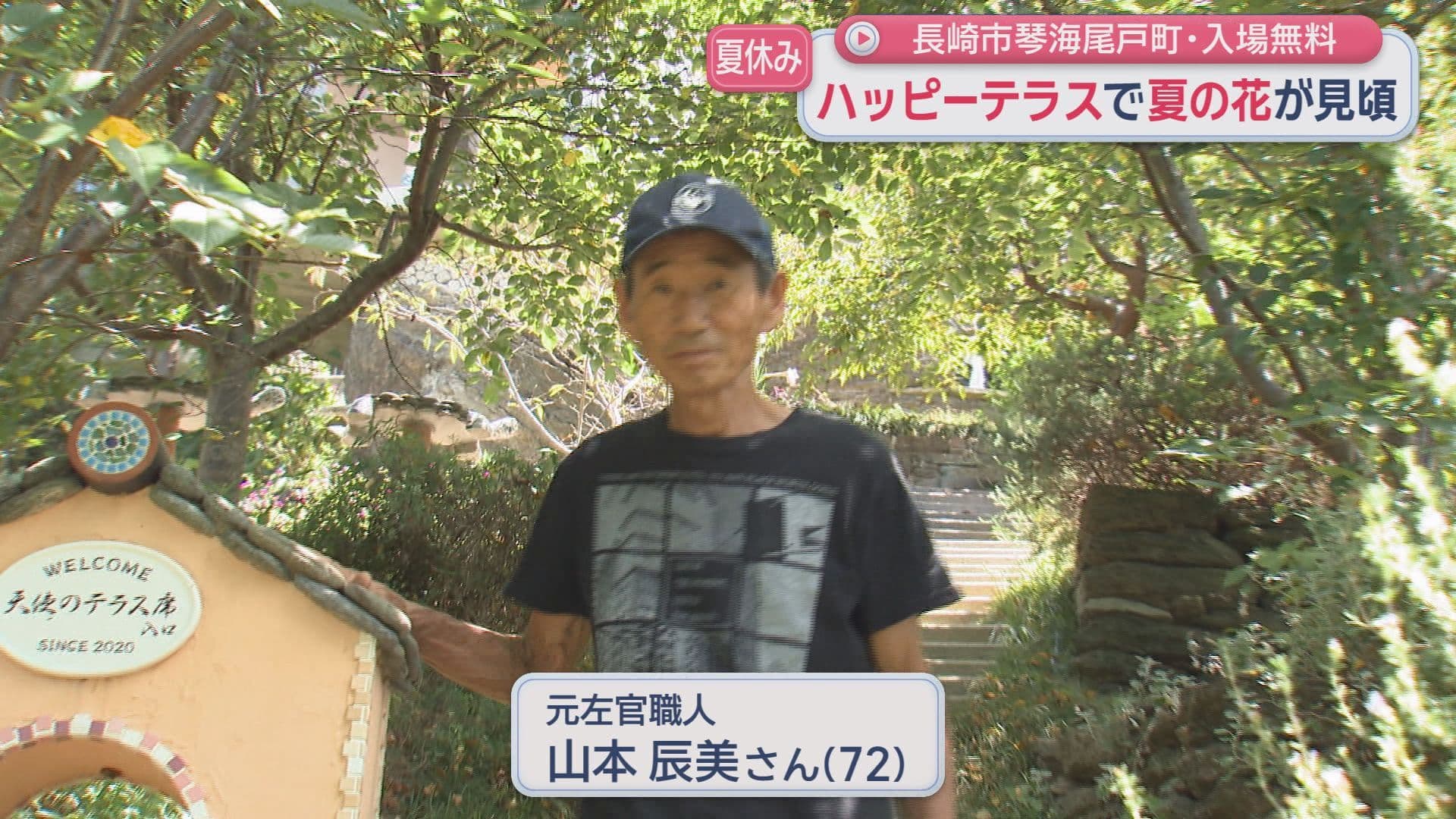 百日紅3