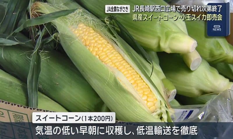 JA全農ながさきがJR長崎駅西口広場で県産スイートコーン・小玉スイカ即売会 売り切れ次第終了