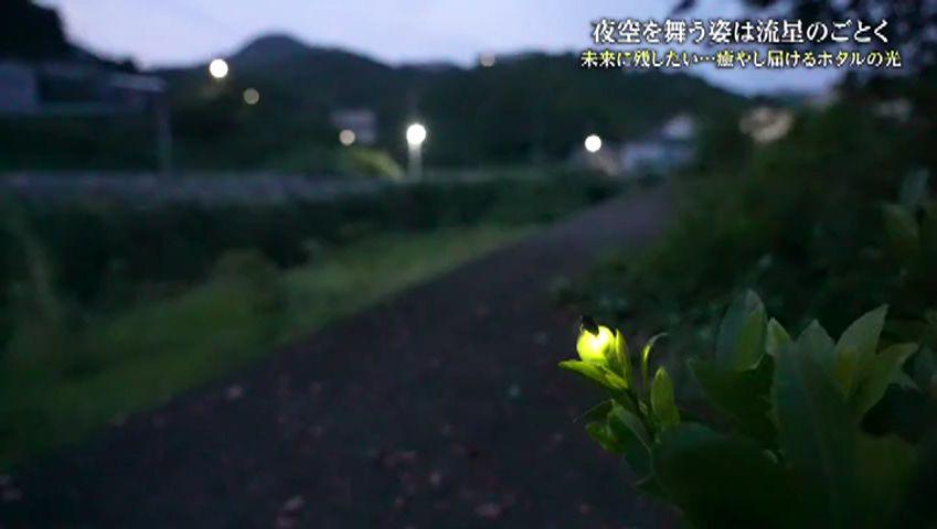 250606_183622_19