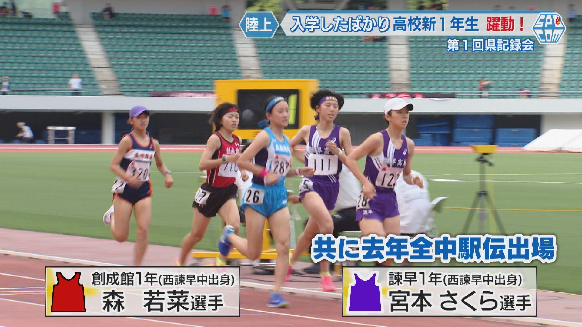 もりわかな、宮本