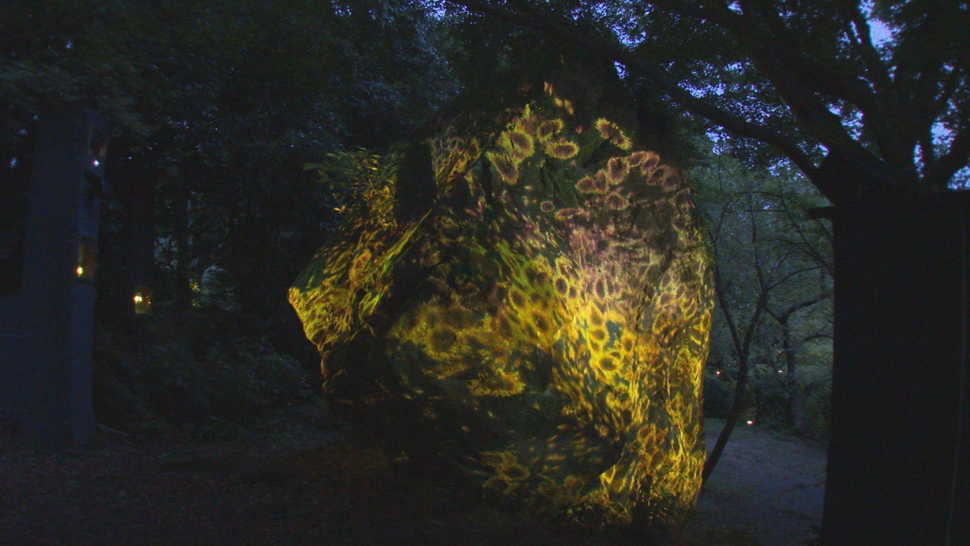佐賀･武雄市に光と音の幻想的空間 御船山楽園でチームラボのアート展