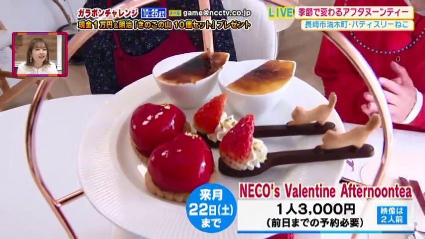 猫好き必見！本格スイーツが楽しめる隠れ家カフェ"パティスリーねこ＆ルミナスフラワーズ"から中継