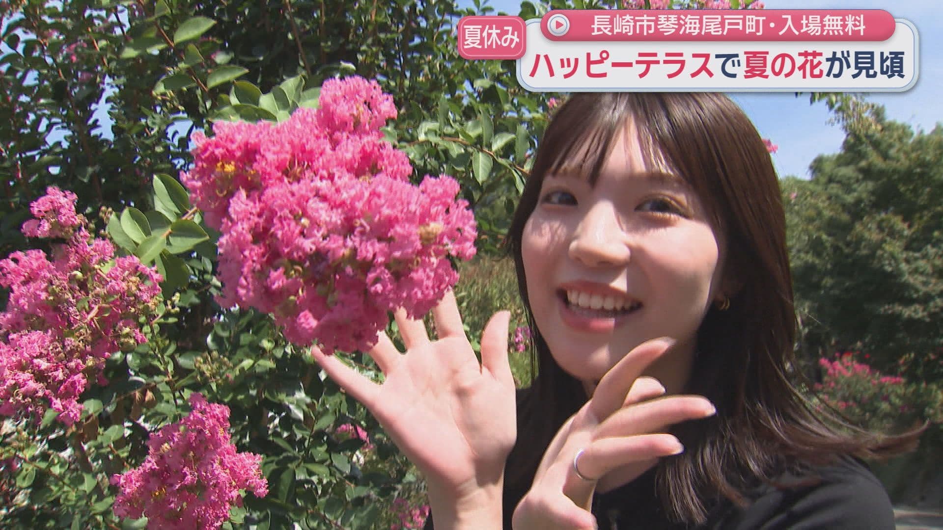 百日紅1
