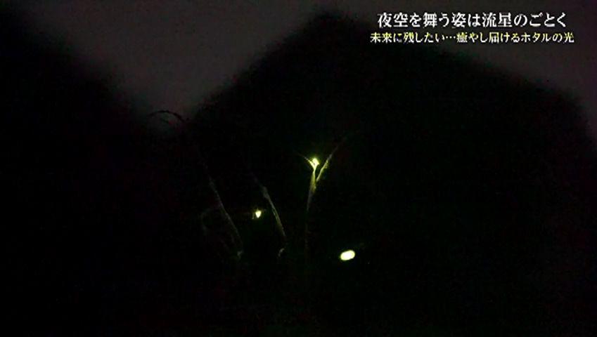 250606_183444_07