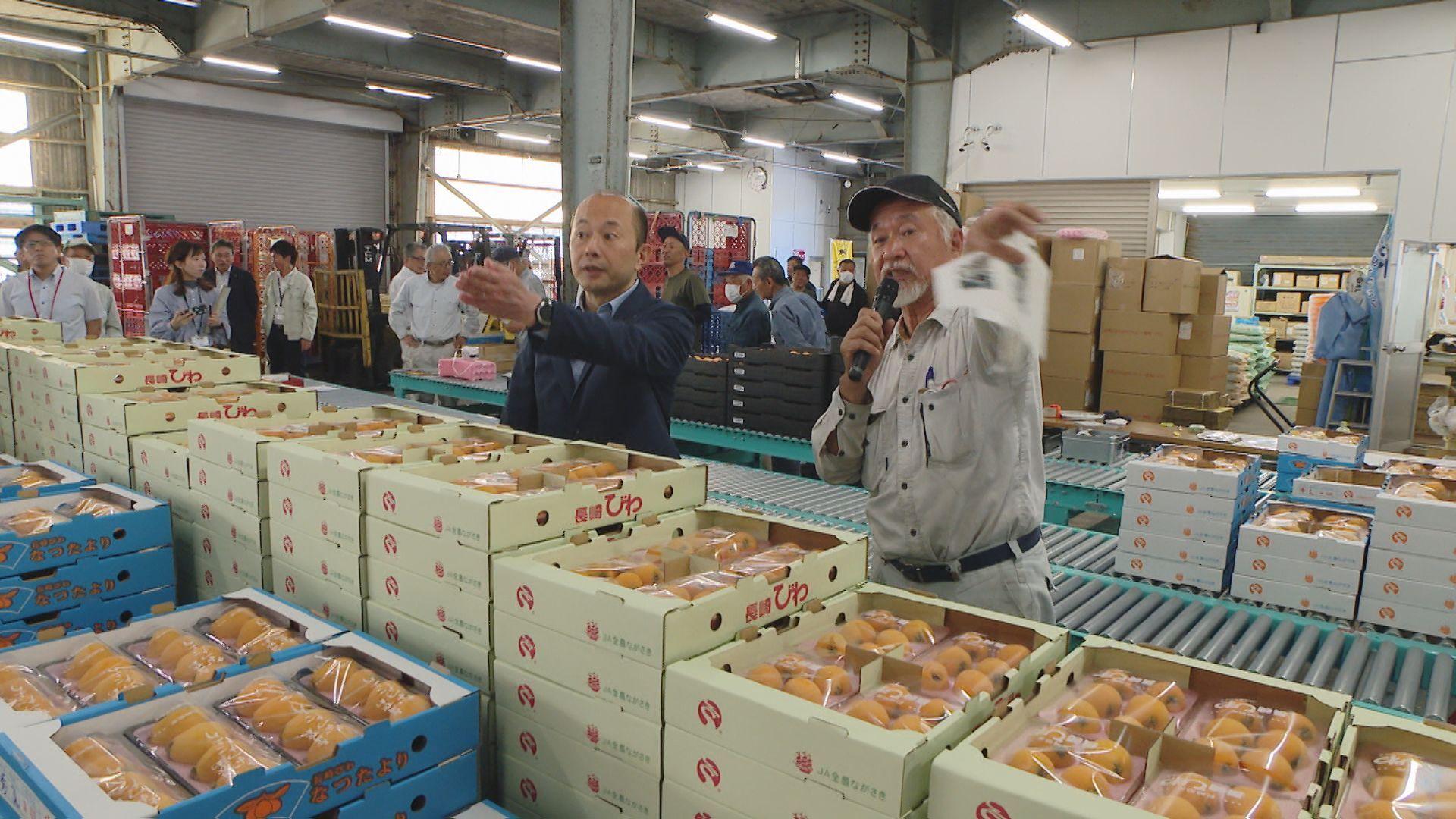 「ジューシーで蜜みたいに甘い」露地ビワ出荷最盛期へ！長崎市長がビワ集出荷場で生産者激励