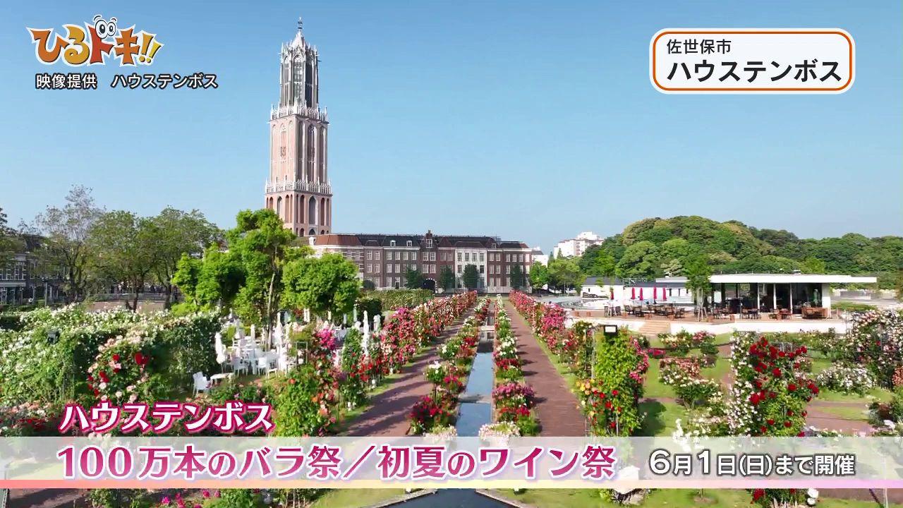 ハウステンボス「100万本のバラ祭」と「初夏のワイン祭」開催中！