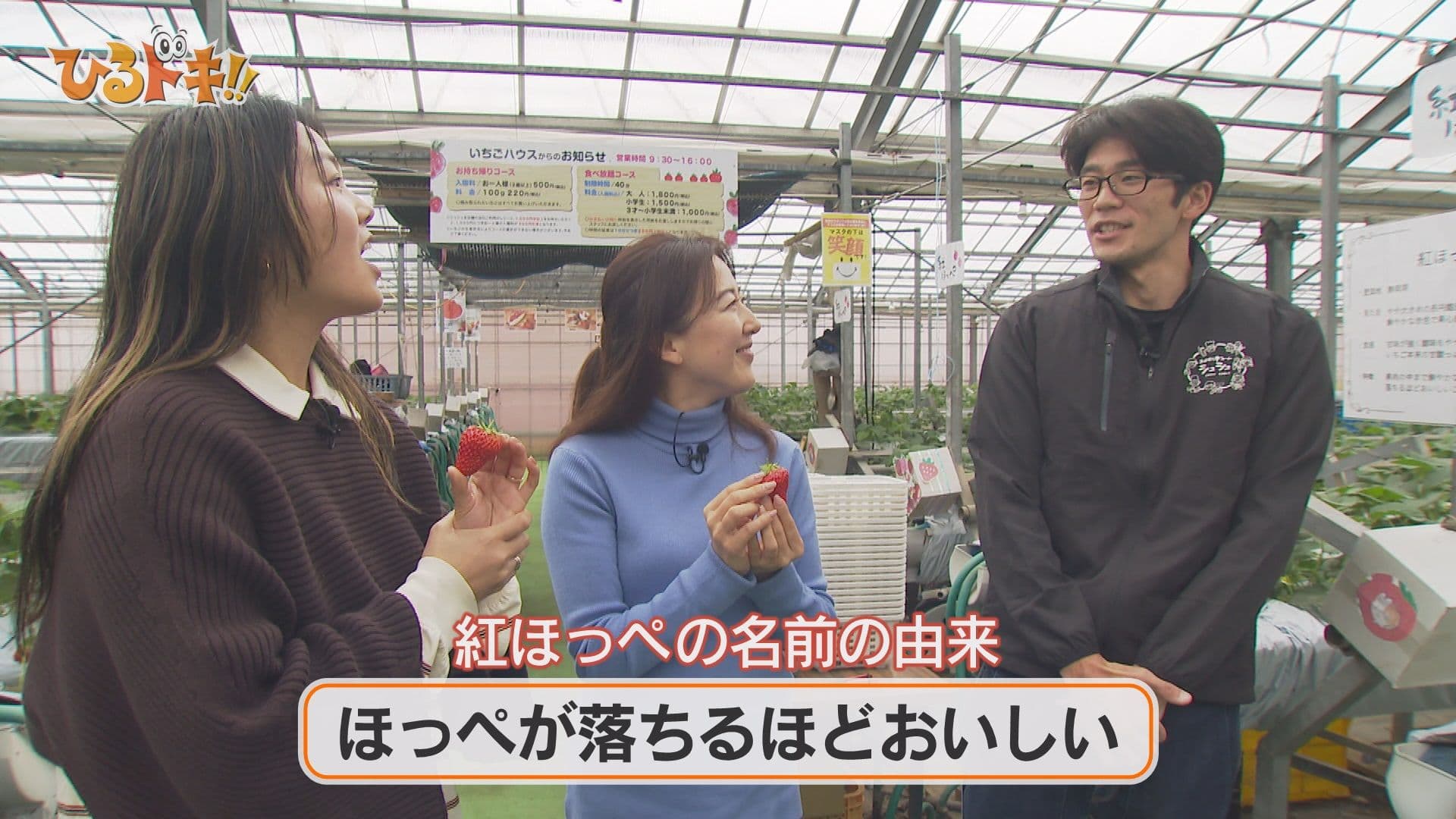 ①シュシュ_いちご1