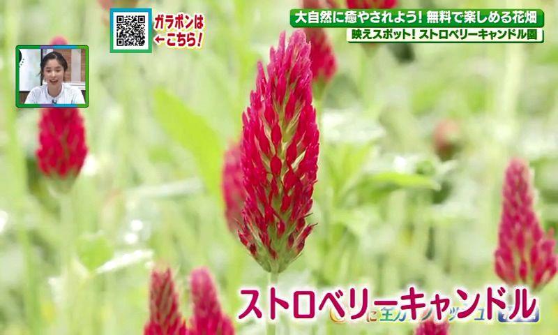250503_094744_24