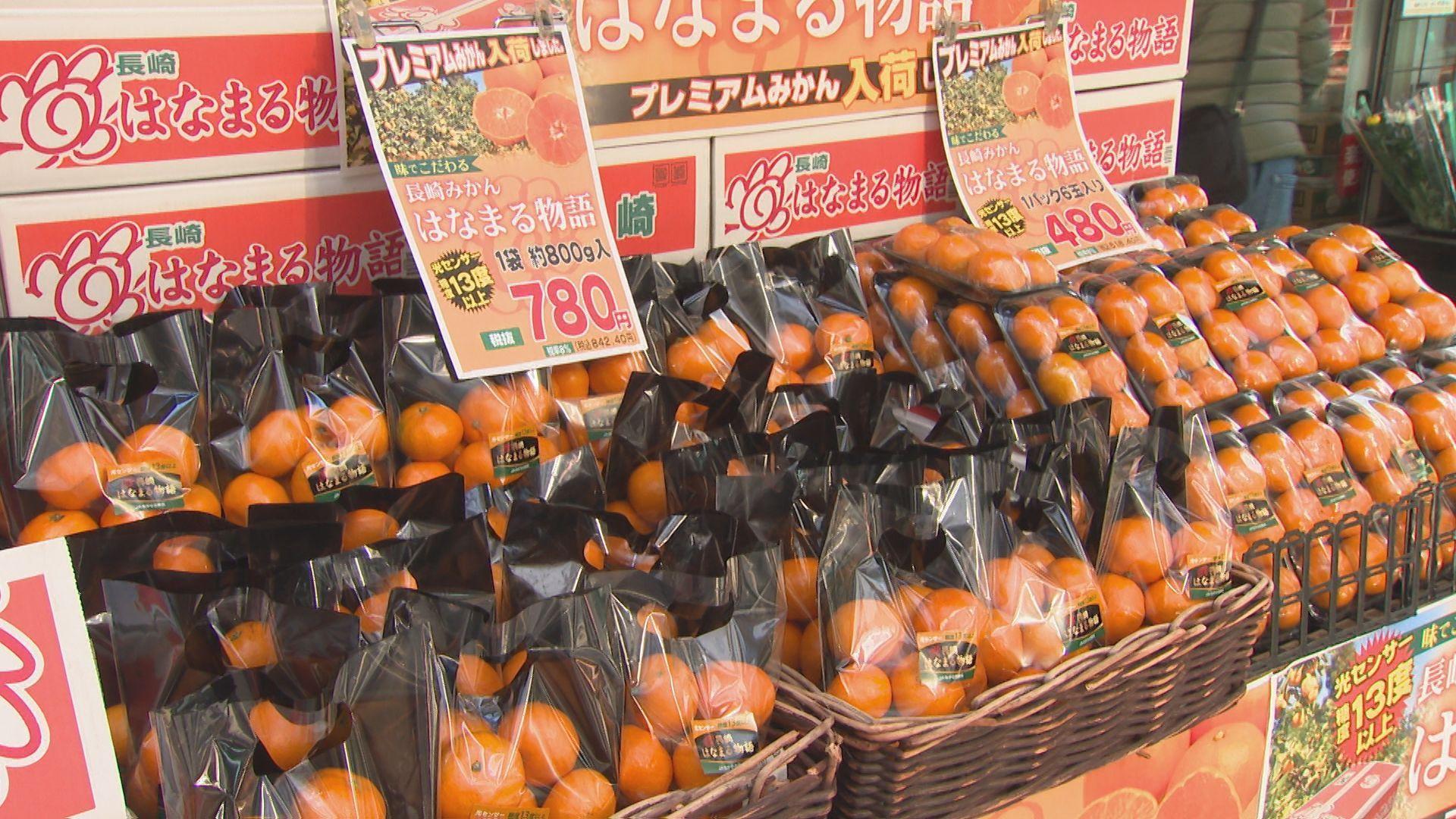 糖度１３％以上の“プレミアム”ミカン「はなまる物語」きょうから限定販売