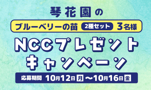 NCCプレゼントキャンペーン｜琴花園の「ブルーベリーの苗（2種セット）」