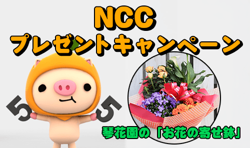 NCCプレゼントキャンペーン（琴花園の「お花の寄せ鉢」）