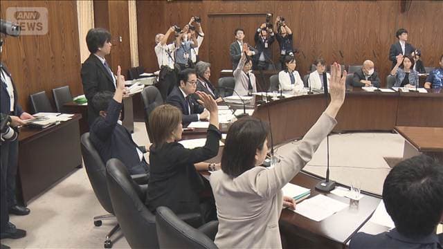国旗損壊罪 参内閣委で可決 17日 参院本会議で成立へ