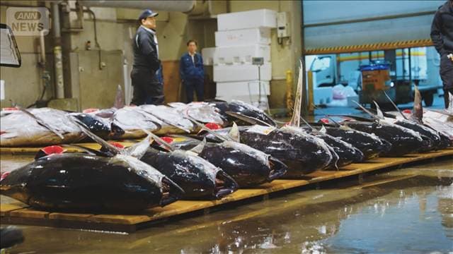 クロマグロ増枠に前進 メキシコが一転して賛同 臨時の合同作業部会開催へ調整