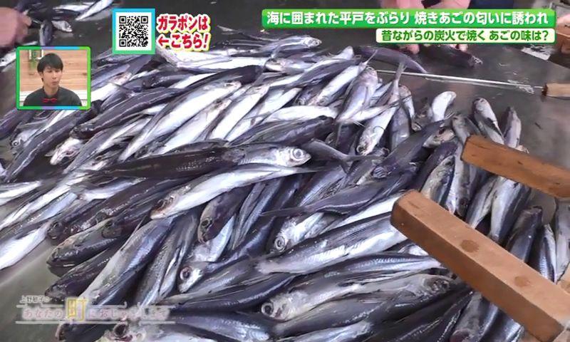 上野敏子のあなたの町におじゃまします~平戸市