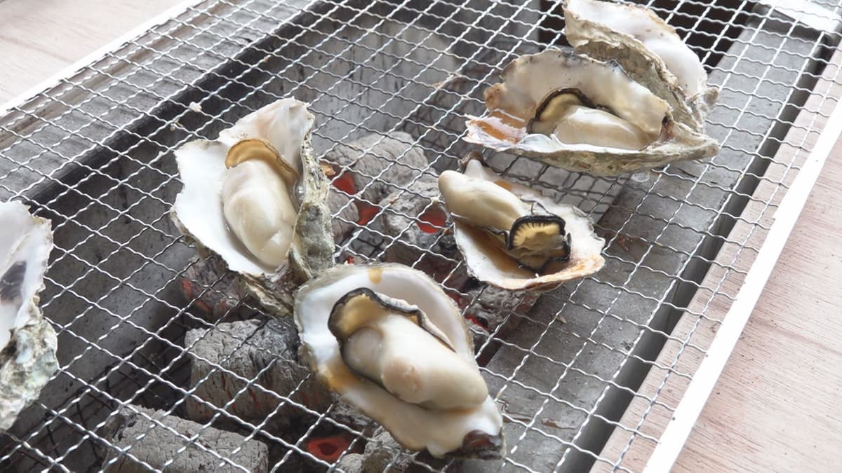 踊り食いが人気 佐々川の春の風物詩「シロウオ漁」がピーク | 長崎ニュース | NCC長崎文化放送